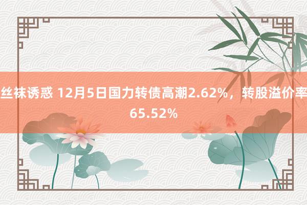 丝袜诱惑 12月5日国力转债高潮2.62%，转股溢价率65.52%