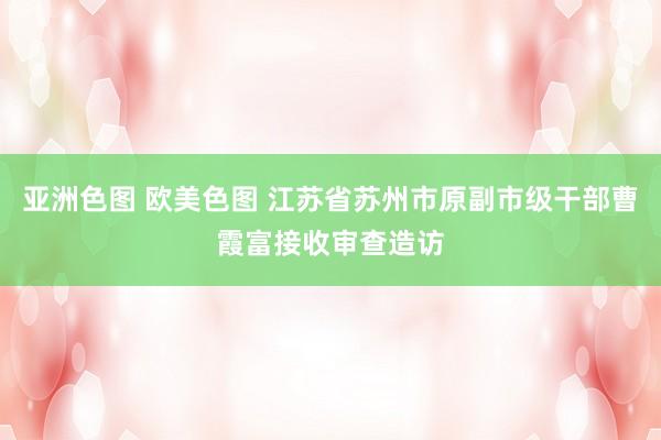 亚洲色图 欧美色图 江苏省苏州市原副市级干部曹霞富接收审查造访