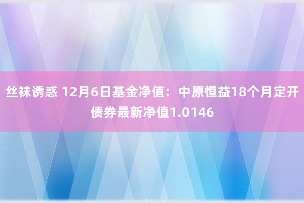 丝袜诱惑 12月6日基金净值：中原恒益18个月定开债券最新净值1.0146