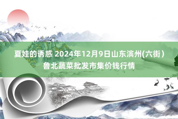 夏娃的诱惑 2024年12月9日山东滨州(六街）鲁北蔬菜批发市集价钱行情