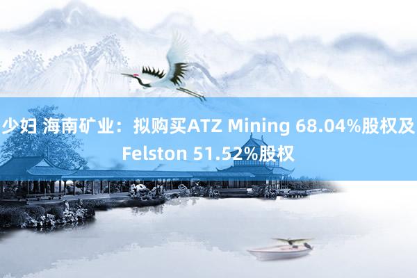 少妇 海南矿业：拟购买ATZ Mining 68.04%股权及Felston 51.52%股权