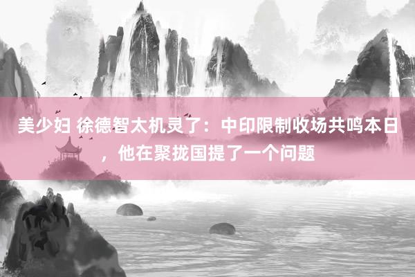 美少妇 徐德智太机灵了：中印限制收场共鸣本日，他在聚拢国提了一个问题