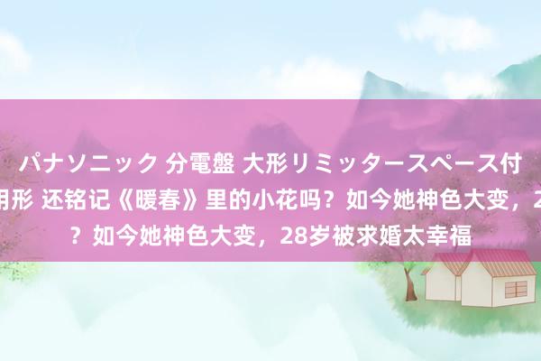 パナソニック 分電盤 大形リミッタースペース付 露出・半埋込両用形 还铭记《暖春》里的小花吗？如今她神色大变，28岁被求婚太幸福