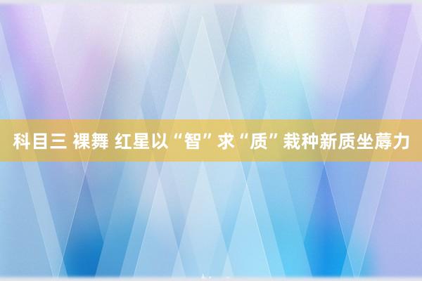 科目三 裸舞 红星以“智”求“质”栽种新质坐蓐力