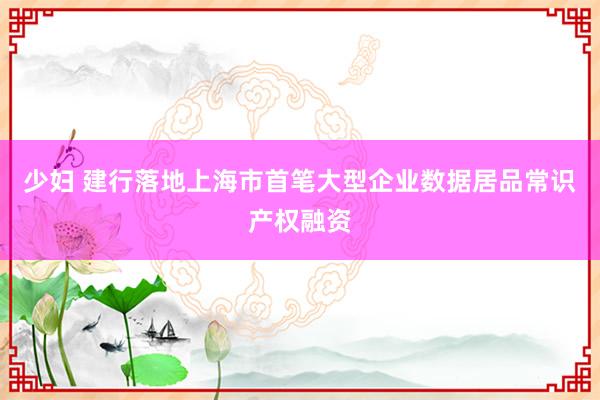 少妇 建行落地上海市首笔大型企业数据居品常识产权融资