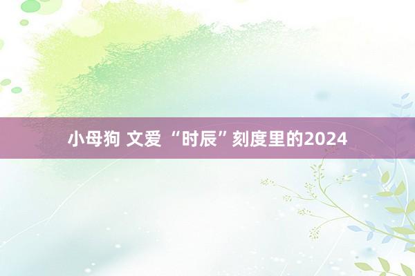 小母狗 文爱 “时辰”刻度里的2024