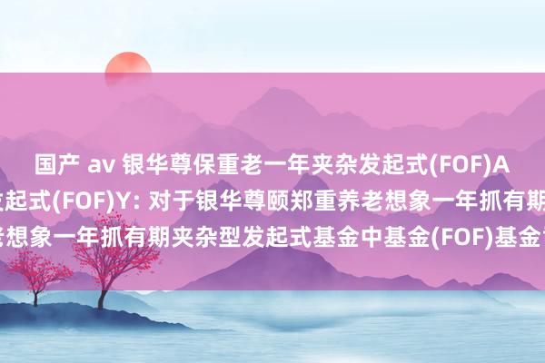 国产 av 银华尊保重老一年夹杂发起式(FOF)A，银华尊保重老一年夹杂发起式(FOF)Y: 对于银华尊颐郑重养老想象一年抓有期夹杂型发起式基金中基金(FOF)基金司理离任的公告