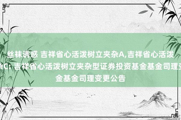 丝袜诱惑 吉祥省心活泼树立夹杂A，吉祥省心活泼树立夹杂C: 吉祥省心活泼树立夹杂型证券投资基金基金司理变更公告