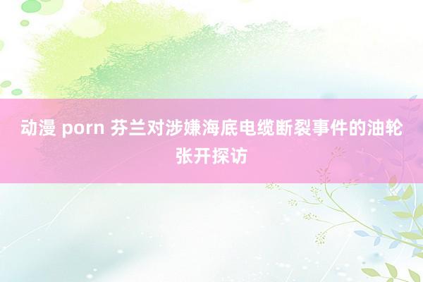 动漫 porn 芬兰对涉嫌海底电缆断裂事件的油轮张开探访