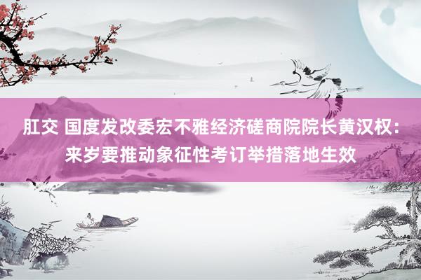 肛交 国度发改委宏不雅经济磋商院院长黄汉权：来岁要推动象征性考订举措落地生效