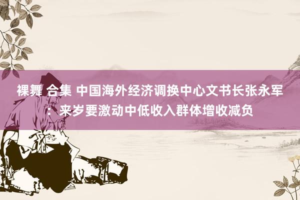 裸舞 合集 中国海外经济调换中心文书长张永军：来岁要激动中低收入群体增收减负