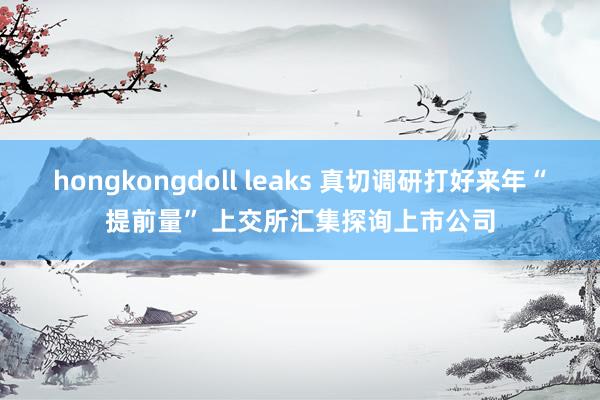 hongkongdoll leaks 真切调研打好来年“提前量” 上交所汇集探询上市公司