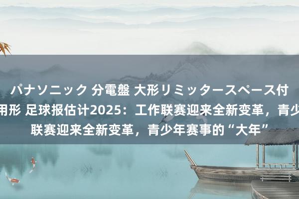 パナソニック 分電盤 大形リミッタースペース付 露出・半埋込両用形 足球报估计2025：工作联赛迎来全新变革，青少年赛事的“大年”