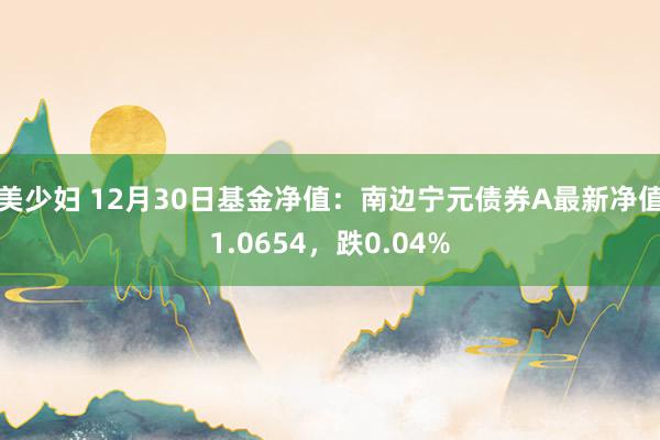 美少妇 12月30日基金净值：南边宁元债券A最新净值1.0654，跌0.04%