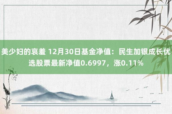 美少妇的哀羞 12月30日基金净值：民生加银成长优选股票最新净值0.6997，涨0.11%