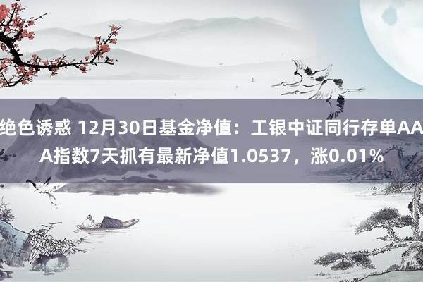 绝色诱惑 12月30日基金净值：工银中证同行存单AAA指数7天抓有最新净值1.0537，涨0.01%