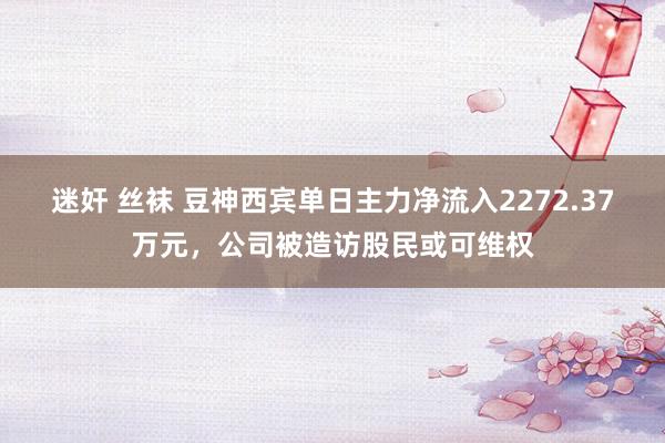 迷奸 丝袜 豆神西宾单日主力净流入2272.37万元，公司被造访股民或可维权