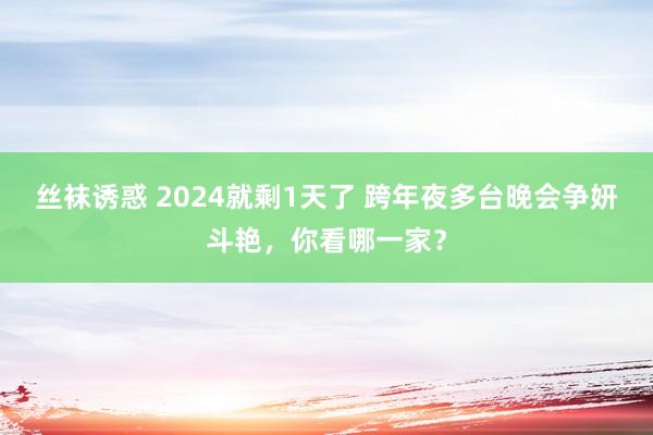 丝袜诱惑 2024就剩1天了 跨年夜多台晚会争妍斗艳，你看哪一家？