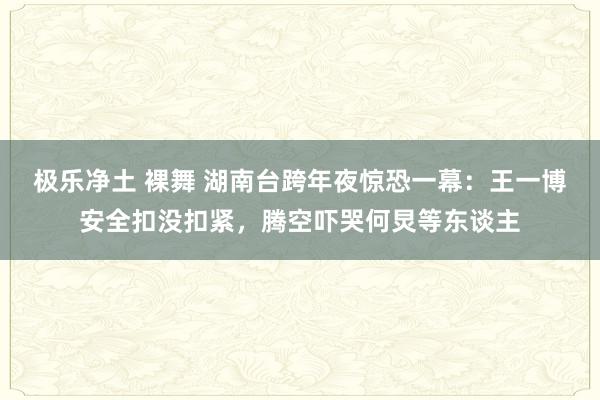 极乐净土 裸舞 湖南台跨年夜惊恐一幕：王一博安全扣没扣紧，腾空吓哭何炅等东谈主