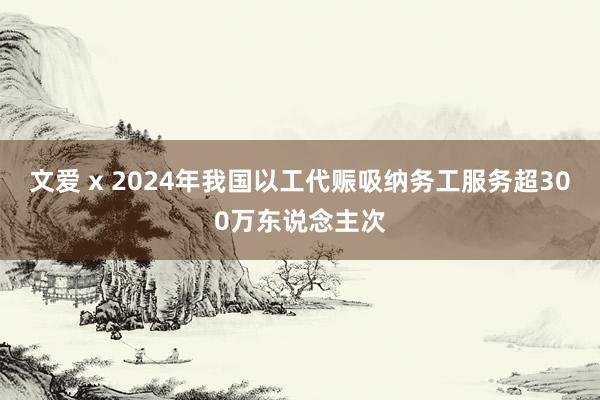 文爱 x 2024年我国以工代赈吸纳务工服务超300万东说念主次