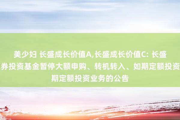 美少妇 长盛成长价值A，长盛成长价值C: 长盛成长价值证券投资基金暂停大额申购、转机转入、如期定额投资业务的公告