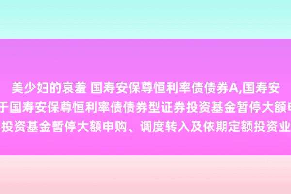 美少妇的哀羞 国寿安保尊恒利率债债券A，国寿安保尊恒利率债债券C: 对于国寿安保尊恒利率债债券型证券投资基金暂停大额申购、调度转入及依期定额投资业务的公告