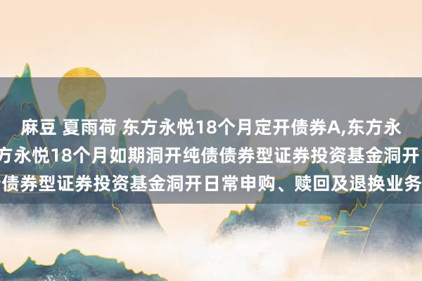 麻豆 夏雨荷 东方永悦18个月定开债券A，东方永悦18个月定开债券C: 东方永悦18个月如期洞开纯债债券型证券投资基金洞开日常申购、赎回及退换业务公告