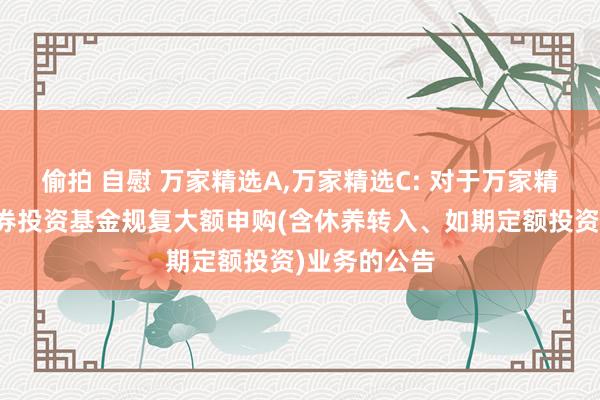 偷拍 自慰 万家精选A，万家精选C: 对于万家精选搀和型证券投资基金规复大额申购(含休养转入、如期定额投资)业务的公告