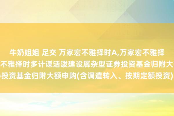 牛奶姐姐 足交 万家宏不雅择时A，万家宏不雅择时多计谋C: 对于万家宏不雅择时多计谋活泼建设羼杂型证券投资基金归附大额申购(含调遣转入、按期定额投资)业务的公告