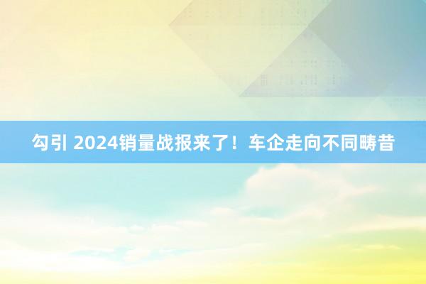 勾引 2024销量战报来了！车企走向不同畴昔