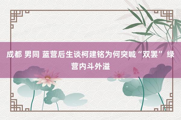 成都 男同 蓝营后生谈柯建铭为何突喊“双罢” 绿营内斗外溢