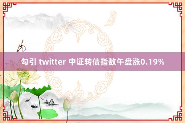 勾引 twitter 中证转债指数午盘涨0.19%