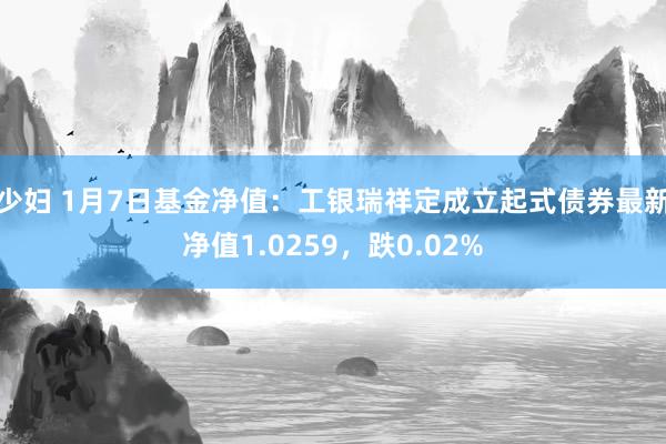 少妇 1月7日基金净值：工银瑞祥定成立起式债券最新净值1.0259，跌0.02%