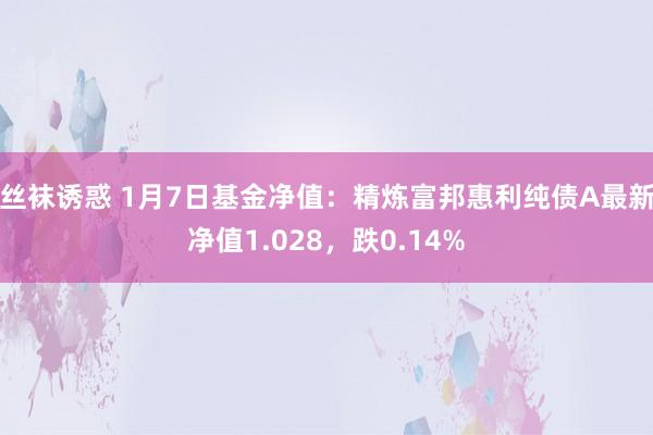 丝袜诱惑 1月7日基金净值：精炼富邦惠利纯债A最新净值1.028，跌0.14%