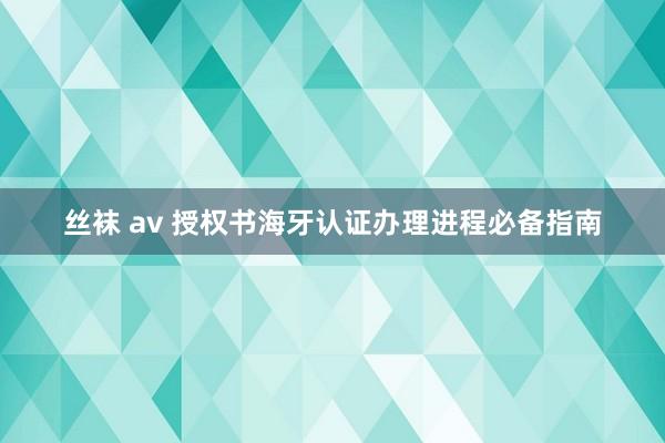 丝袜 av 授权书海牙认证办理进程必备指南