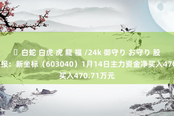 ✨白蛇 白虎 虎 龍 福 /24k 御守り お守り 股票行情快报：新坐标（603040）1月14日主力资金净买入470.71万元