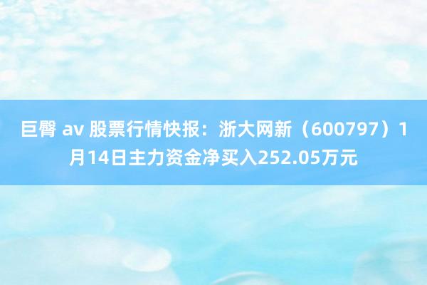 巨臀 av 股票行情快报：浙大网新（600797）1月14日主力资金净买入252.05万元