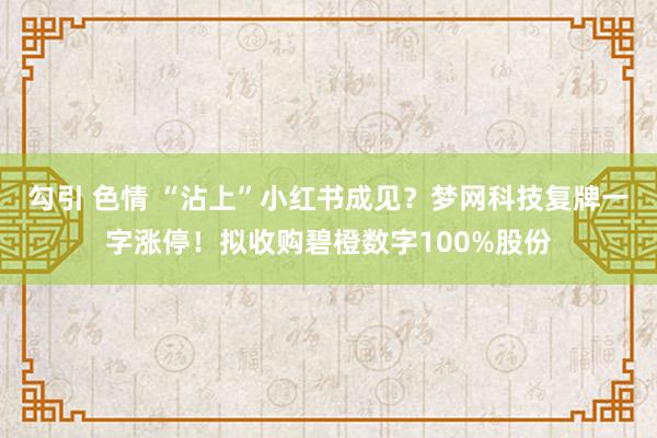 勾引 色情 “沾上”小红书成见？梦网科技复牌一字涨停！拟收购碧橙数字100%股份