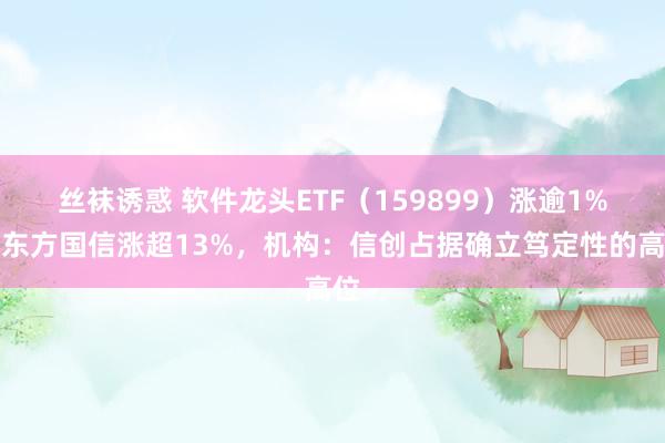 丝袜诱惑 软件龙头ETF（159899）涨逾1%，东方国信涨超13%，机构：信创占据确立笃定性的高位