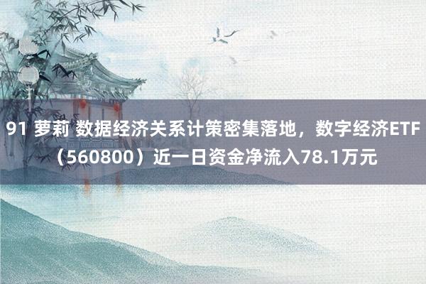 91 萝莉 数据经济关系计策密集落地，数字经济ETF（560800）近一日资金净流入78.1万元